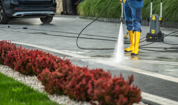 Best Pressure Washing Services for Businesses  in Toledo, IA