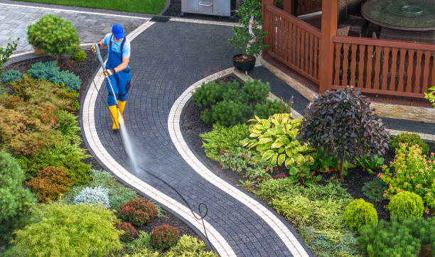 Best Sidewalk Pressure Washing  in Toledo, IA