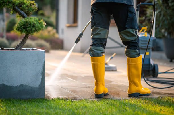 Best Power Washing Near Me  in Toledo, IA